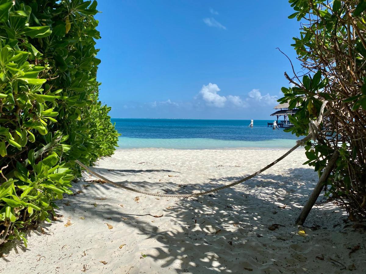 Villa Albatros Oceanfront Luxury Hotelzone Cancún Eksteriør bilde