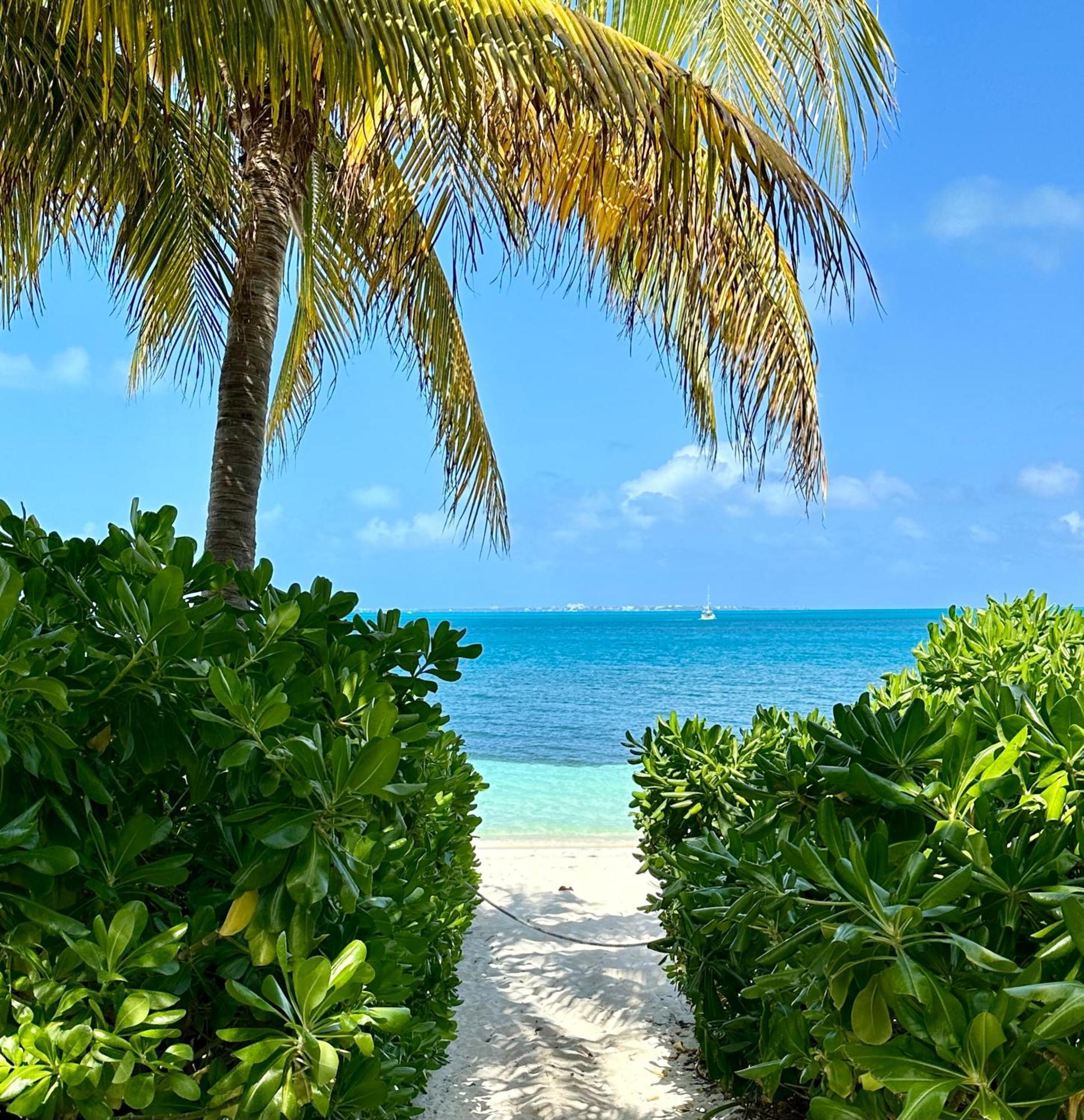 Villa Albatros Oceanfront Luxury Hotelzone Cancún Eksteriør bilde